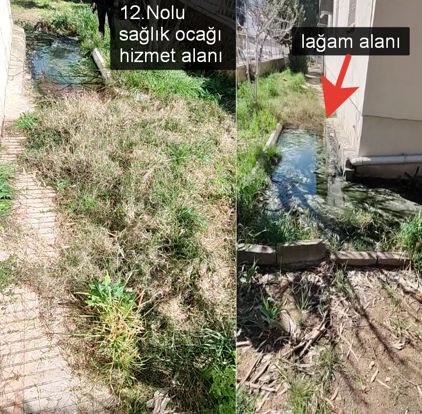12 Nolu Sağlık Ocağı Hizmet Alanı