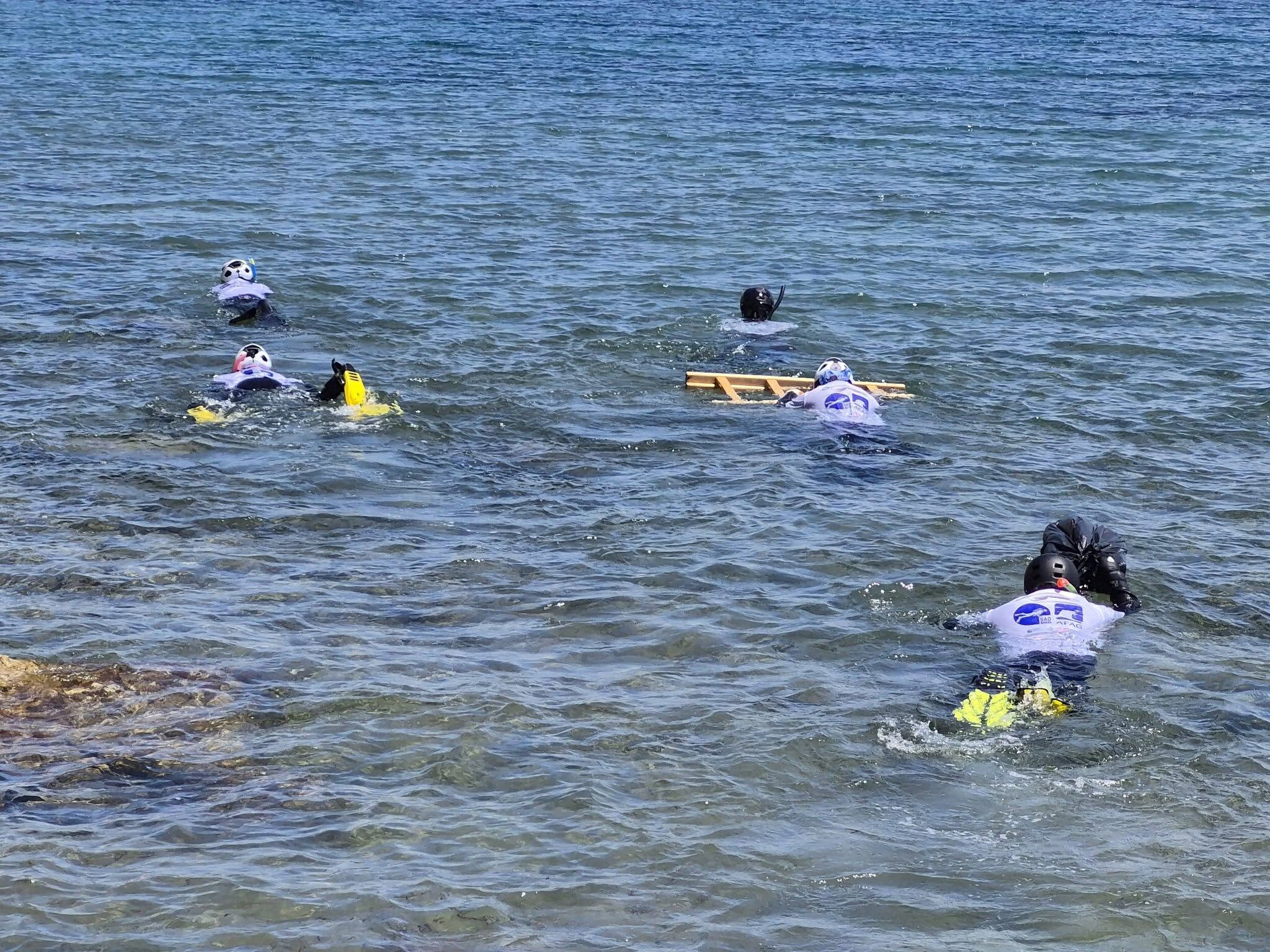 702637431 1024967656861061 8972911224944392875 N