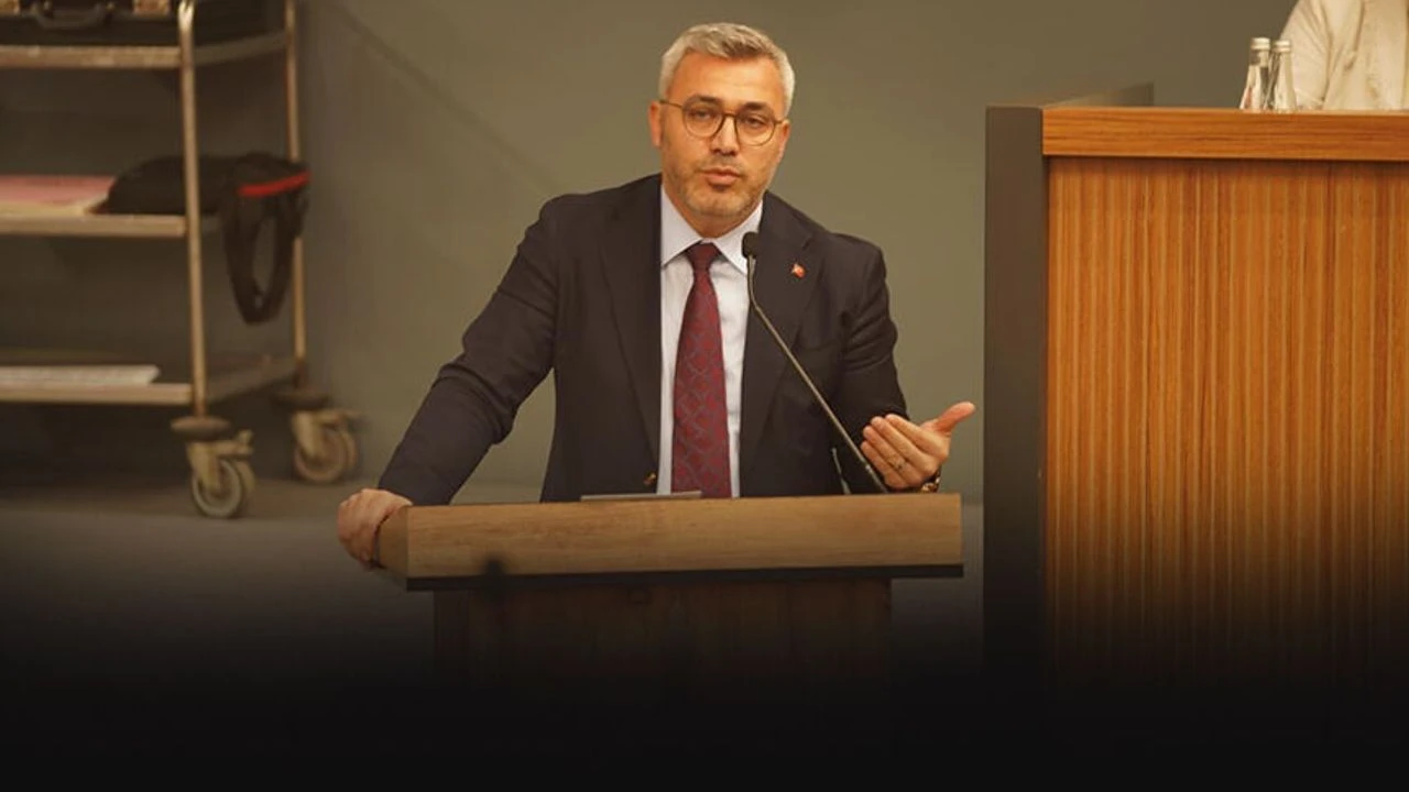 Tekin Bos 1
