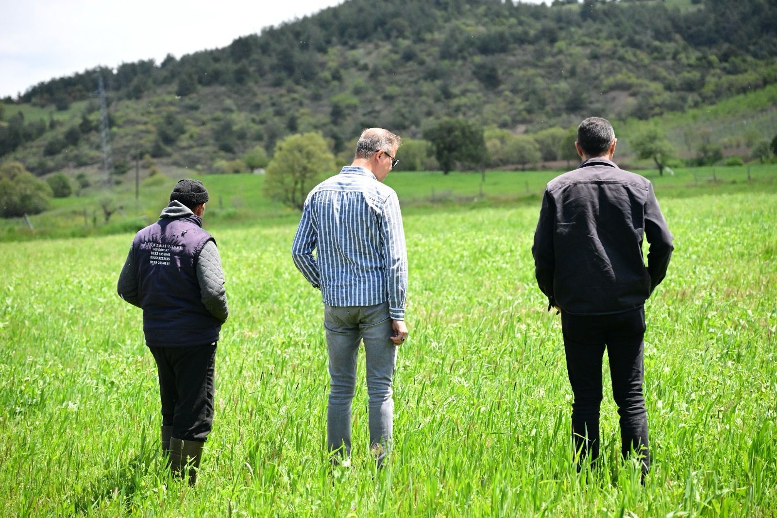 Büyükşehir’in Toprakla Buluşan Tohumları Yeşerdi (1)