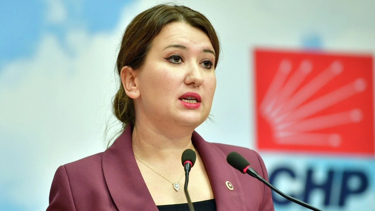 Gokce Gokcenden Bakan Tunca Yanit En Ufak Elestiriye Bile Tahammulu Kalmamis 1