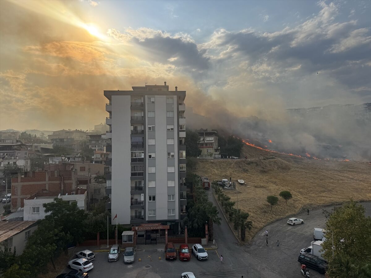 İzmir'de otluk alanda çıkan yangına müdahale ediliyor