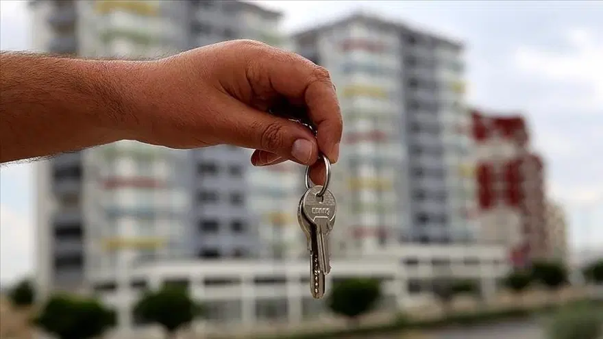 Emlakçılar ve galericilere ceza yağmuru: 100'er bin lira ödeyecekler