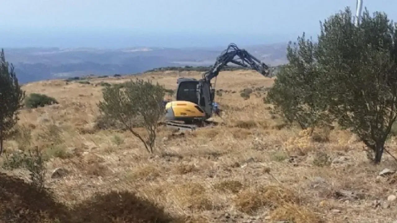 Sirket Iptal Sorusturma Kararlarini Yine Dinlemedi Zeytin Dusmanlari Devrede 202405031255 1 (1)