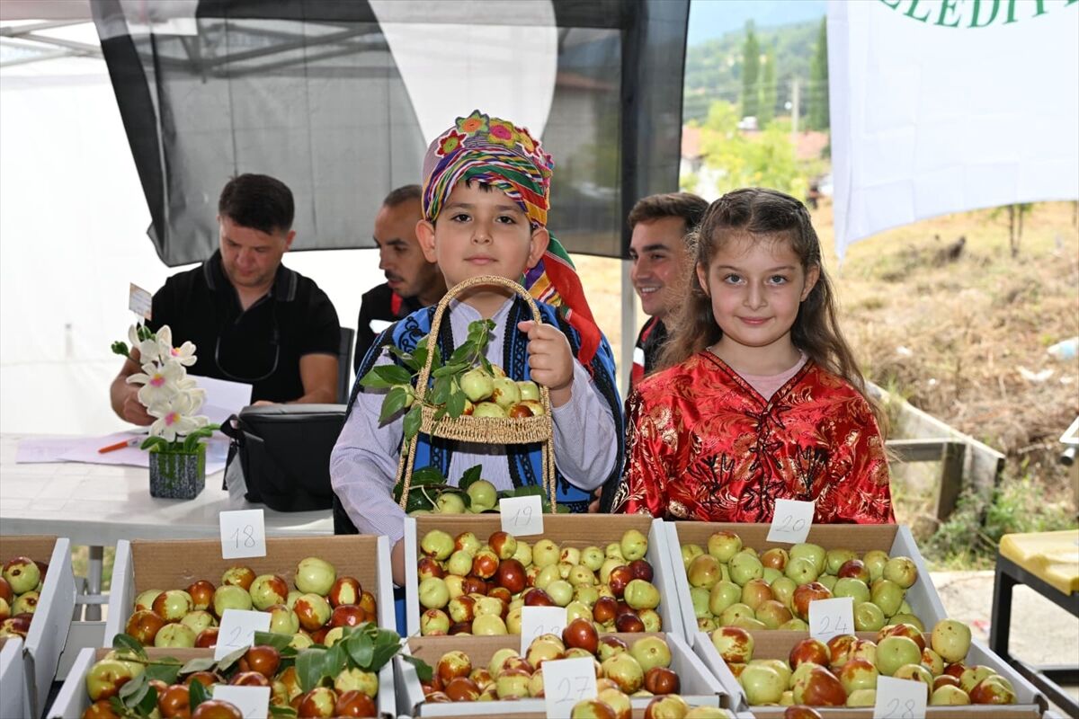 Manisa'da "Hünnap Festivali" düzenlendi