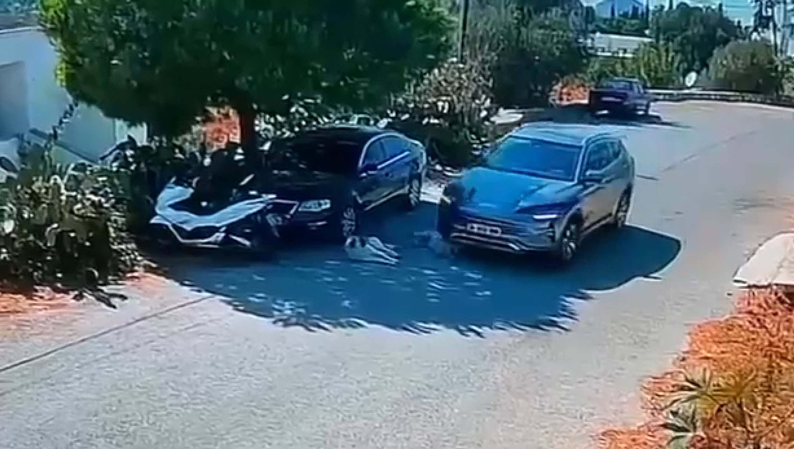Otomobilin 2 köpeğin üzerinden geçmesine ilişkin soruşturma!