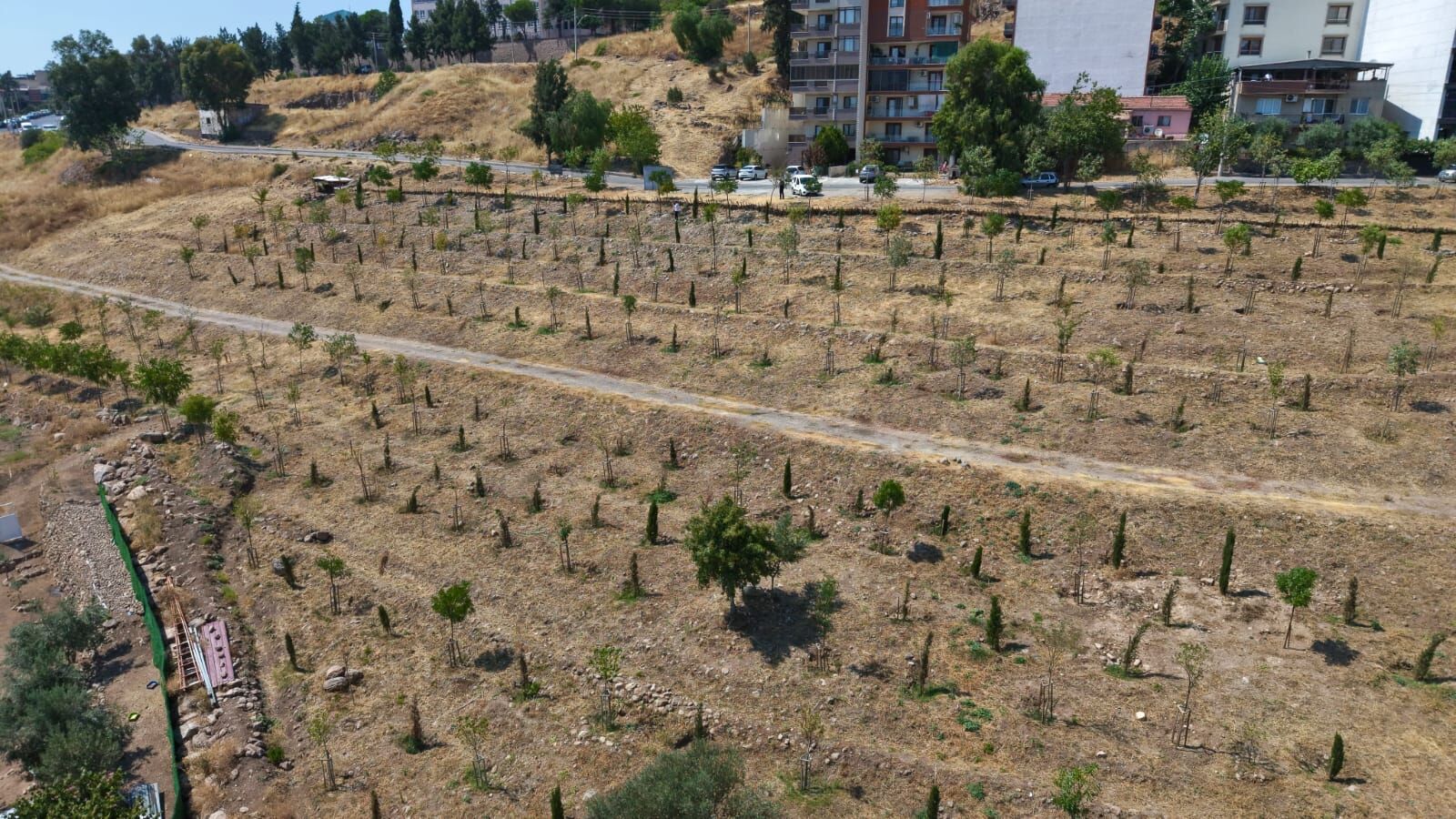 Kıraç topraklarda yeşil dönüşüm